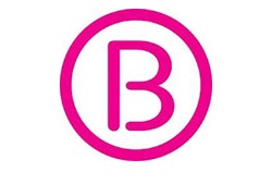 Logo_borstkankervereniging_nederland