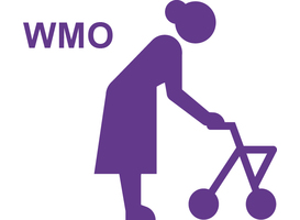 Logo_wmo3