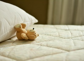 Normal_bed__knuffel